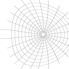 Naklejka premium Web. Internet spider web. The web is a hacker's paradise. Content for the designer.