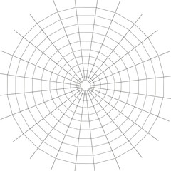 Naklejka premium Web. Internet spider web. The web is a hacker's paradise. Content for the designer.