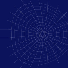 Naklejka premium Web. Internet spider web. The web is a hacker's paradise. Content for the designer.