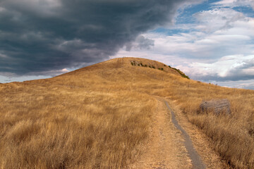Rural Canterbury scenery, New Zealand