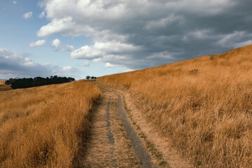 Fototapeta premium Country road in Canterbury, New Zealand
