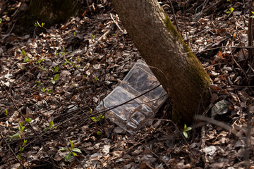 Used disposable plastic food container thrown away in the autumn forest. Plastic waste in the environment. Rubbish in a ravine under a tree