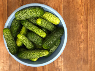 Fresh freshly harvested small cucumbers are in a large blue bowl. A plastic bowl stands on a wooden surface. Flat lay with copy space.