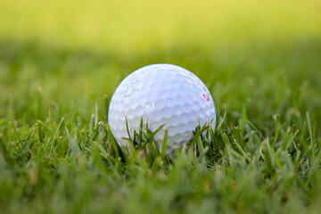 Szenen aus dem Sport Golf. Golfplatz Impressionen bei schönem Wetter.