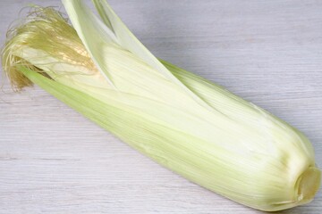 isolated fresh cob of corn in the skin on a light wooden surface