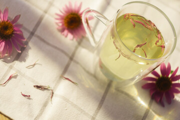Echinacea tea. Homeopathy concept. Detail photo. Close shot. Copy space. Herbal drink. 
