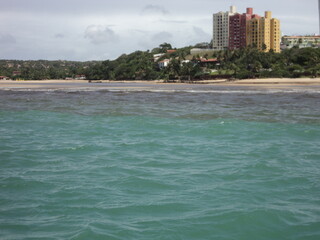 tropical beach with palm trees in Natal Brazil