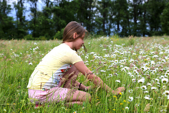 Cute girl with blond hair collects a summer bouquet of white wildflowers on a green meadow.