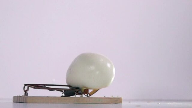 Mouse trap with hard boiled egg in slow motion shot at 480fps