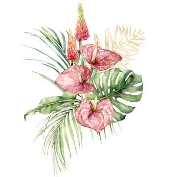watercolor pink anthurium tropical floral arrangement clip art preview