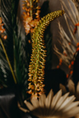 Composition With Fresh Tropical Leaves And Exotic Flowers 