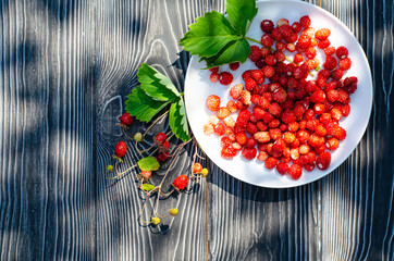 Wild ripe strawberries on a wooden rustic table with withe flowers. Summer concept, a new crop of berries. Bright shadows on a Sunny day on the terrace.