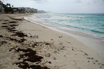 Tropical beach in a cloud day. View of the white sand shore, sargassum gulfweed, turquoise color ocean, sea waves and coastline in Cancun, Mexico.