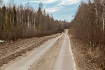 Fototapeta na wymiar Dirt road in a pine forest
