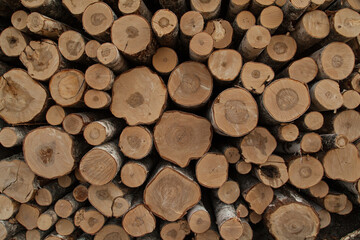Pile of logs texture background