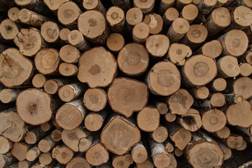 Möbelaufkleber Pile of logs texture background © Дэн Едрышов