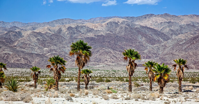 Desert landscape with the Indio Hills in the distance