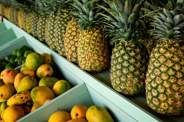 Lots of juicy ripe pineapples in a row and mango fruits on the wooden counter of a fruit shop on island. Colorful tropical background.