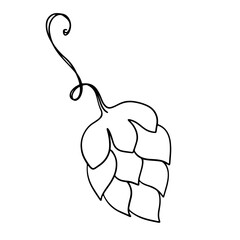 Cute kawaii trend twig and fruit of hops. Doodle contour sketch gentle digital art. Print for packaging, advertising, banner, wrapping paper, brand