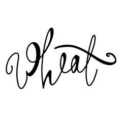 Cute kawaii trend lettering grain wheat isolated on white background. Doodle contour sketch gentle digital art. Print for packaging, advertising, banner, wrapping paper, brand, coloring page