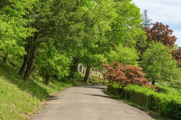 Fototapeta na wymiar Concrete path lined by green trees and bushes at Sleepy Hollow Cemetary, Upstate New York