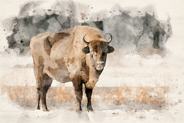 European bisons (Bison bonasus) waterpaint image - obrazy, fototapety, plakaty