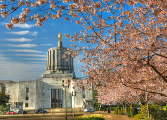 Obraz premium cherry blossoms in front of the Oregon State Capitol building in Salem.