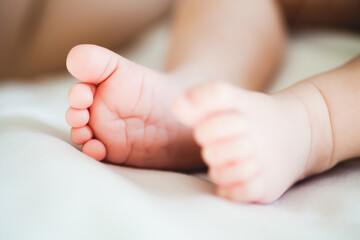 Newborn baby feet soft focus