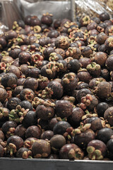 mangosteen set many fruits round lilac close-up background vertical counter asia