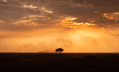 Naklejka na ściany i meble Sunset at Masai Mara, Kenya