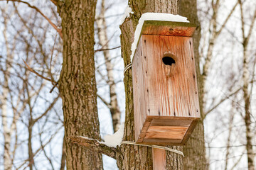 wooden birdhouse on a tree covered with snow protection from the cold
