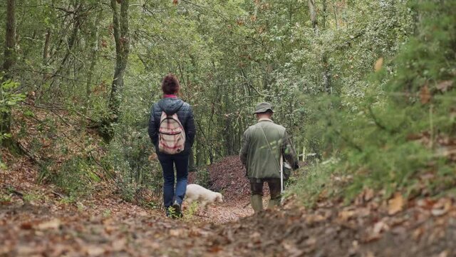 Hunting truffles in the forest, with truffle dogs. San Giovanni D'Asso. Italy