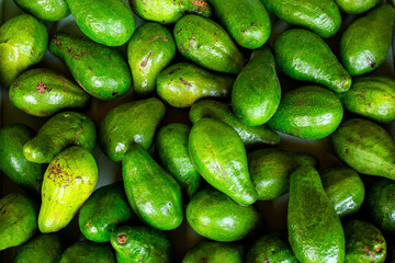 Close up of many green avocado fruits in a street shop. Top view. Fresh fruits and vegetables background 