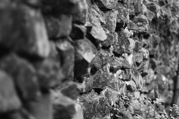 Muro de pedra 