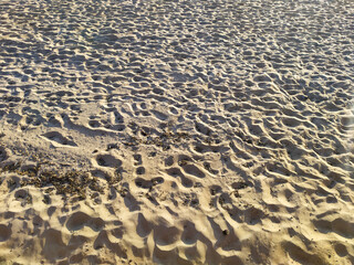 Top view beach sun