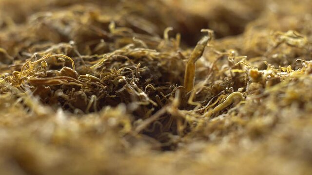 baku international tobacco Azerbaijan to export tobacco products to Georgia [PHOTOS]