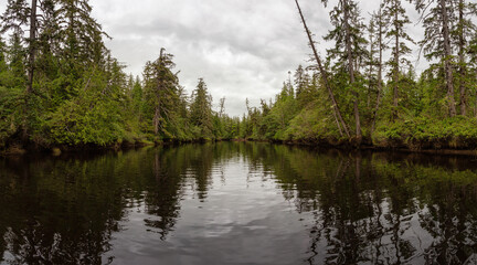 Fototapeta na wymiar Panoramic View of a River near the Pacific Ocean with green trees during a cloudy day. Taken in Raft Cove, Northern Vancouver Island, British Columbia, Canada.