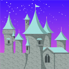 Fototapeta premium castle in the night
