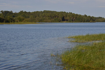 Retenue de la Chèze, étang de Saint-Thurial, pays de Rennes, Bretagne, France