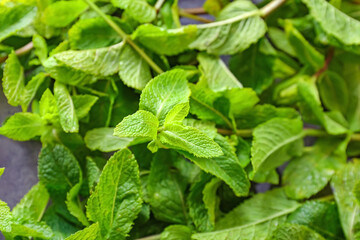 Fresh green mint on table, closeup