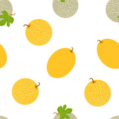 Melon. Seamless Vector Pattern