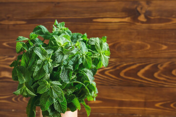 Fresh green mint on wooden background