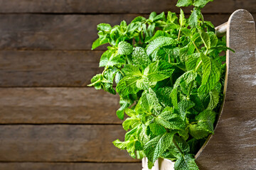 Fresh green mint in basket on wooden background