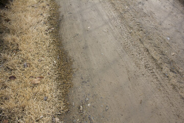 
Dirt road with Dry grass in winter.