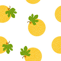 Melon. Seamless Vector Pattern