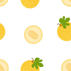 Melon. Seamless Vector Pattern