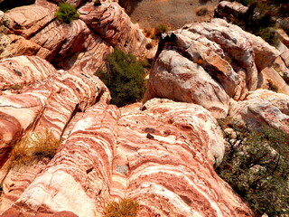Staring down a cliff at Red Rock Canyon