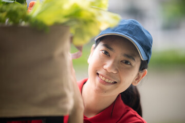 Delivery company worker holding grocery bag, food order, supermarket service, accepting groceries box from delivery woman at home, Fresh organic vegetable delivery