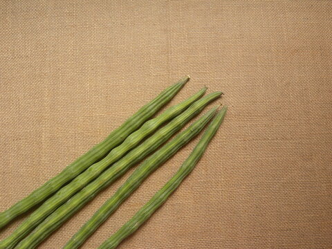 Green color raw fresh Drumsticks