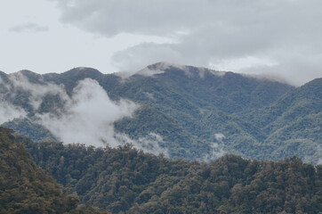 Montañas del bosque tropical en Colombia. Montañas de Suramérica con neblina. Bosque tropical generando oxígeno.